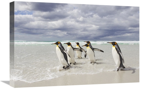 Global Gallery GCS-395362-1624-142 16 x 24 in. King Penguin Group on B