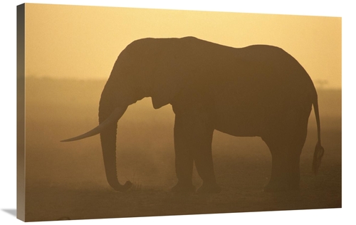 Global Gallery GCS-452749-2436-142 24 x 36 in. African Elephant Silhou