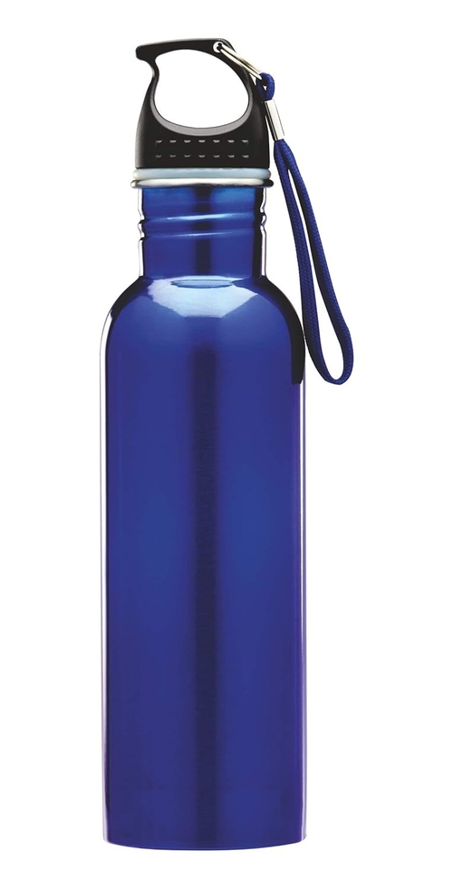 Stainless Steel Water Bottle, 750ml, Blue