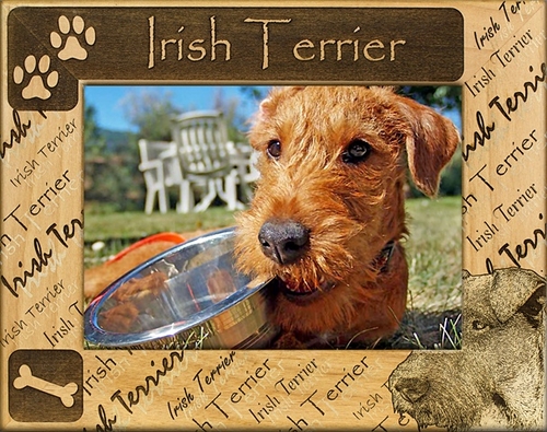 Giftworks Plus DBA0098 Irish Terrier- Alder Wood Frame- 3.5 x 5 In