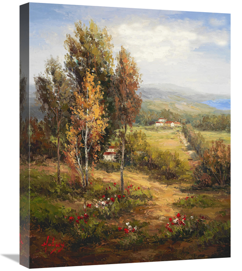 Global Gallery GCS-132586-2024-142 20 x 24 in. Valle Salerno Art Print