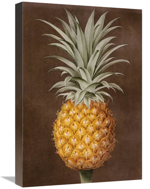 Global Gallery GCS-267786-22-142 22 in. Pineapple Art Print - George B