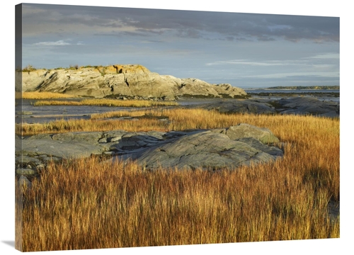 Global Gallery GCS-396337-3040-142 30 x 40 in. Tidal Marsh, Rivier