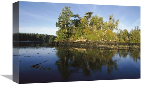 Global Gallery GCS-450836-1218-142 12 x 18 in. Clayoquot Sound, Va