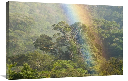 Global Gallery GCS-397318-2436-142 24 x 36 in. Rainbow Over Rainforest
