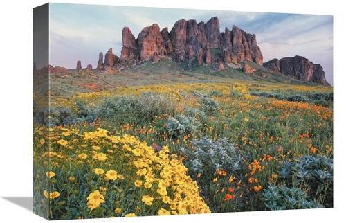 Global Gallery GCS-396990-1216-142 12 x 16 in. California Brittlebush 