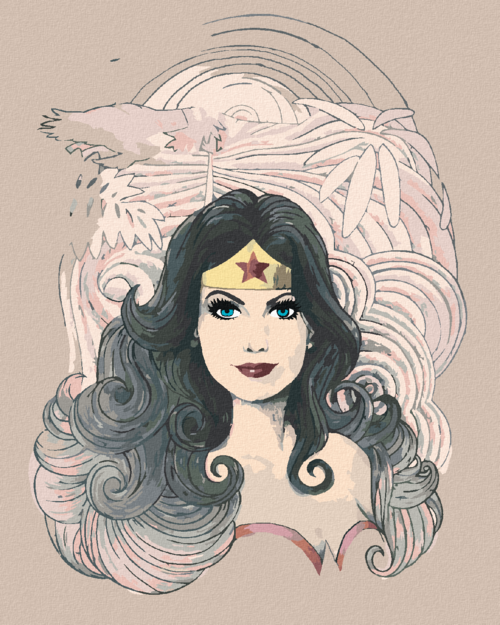 Zuty - Paint by Numbers - CARTOON WONDER WOMAN, 40x50 cm