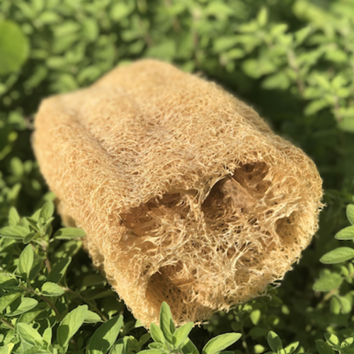 Loofah Bath Sponge