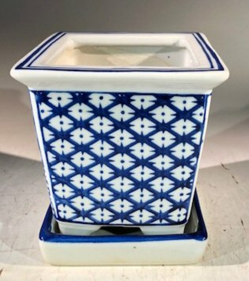 Blue on White Porcelain Bonsai Pot - Square With Attached Humidity