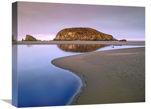 Global Gallery GCS-395991-1620-142 16 x 20 in. Harris Beach State Park