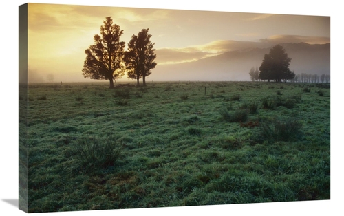 Global Gallery GCS-453497-2030-142 20 x 30 in. Dawn Light Over South I