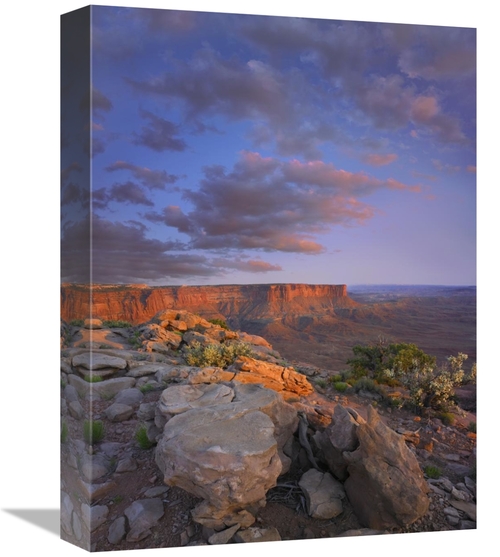 Global Gallery GCS-452094-1216-142 12 x 16 in. View From the Green Riv