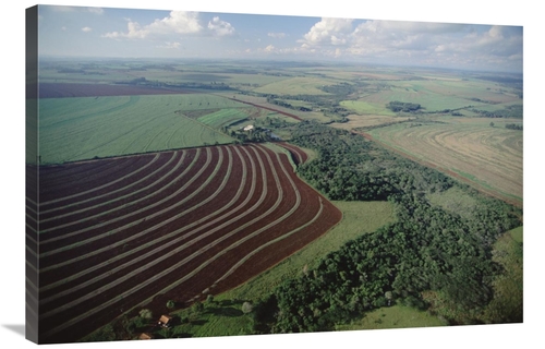 Global Gallery GCS-397691-2436-142 24 x 36 in. Farming Region with For