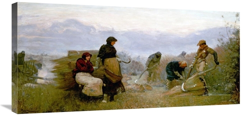 Global Gallery GCS-266795-36-142 36 in. Sedge Cutting in Wecken Fen