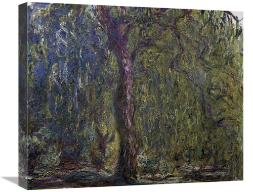 Global Gallery GCS-278747-22-142 22 in. Weeping Willow - Saule pleureu