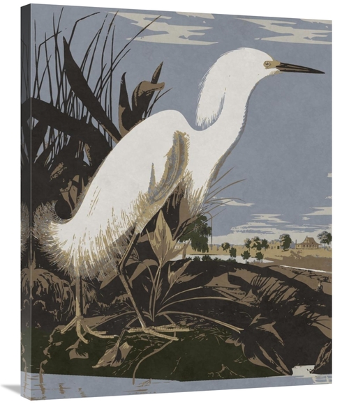 Global Gallery GCS-394761-2835-142 28 x 35 in. Audubon Decor - Snowy E