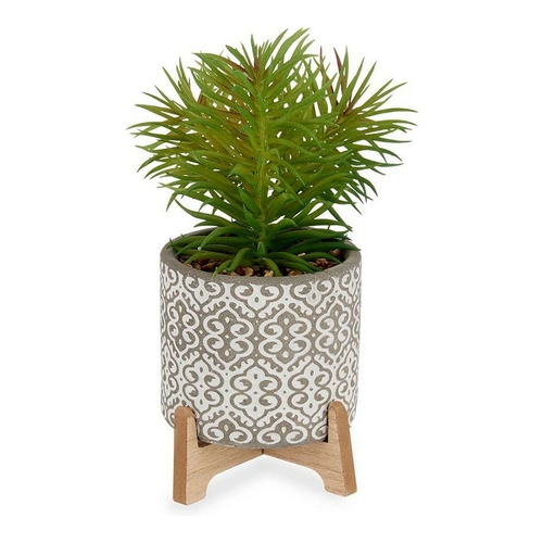 Decorative Plant Grey Brown Green Plastic (12 x 22 x 12 cm)