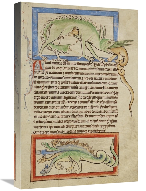 Global Gallery GCS-454769-1624-142 16 x 24 in. A Hydrus - A Hydra Art 