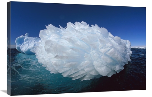 Global Gallery GCS-397754-2436-142 24 x 36 in. Hedgehog Iceberg, T