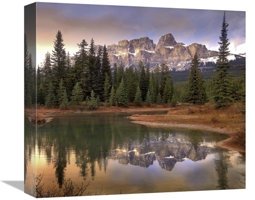 Global Gallery GCS-396999-16-142 16 in. Castle Mountain & Boreal Fores