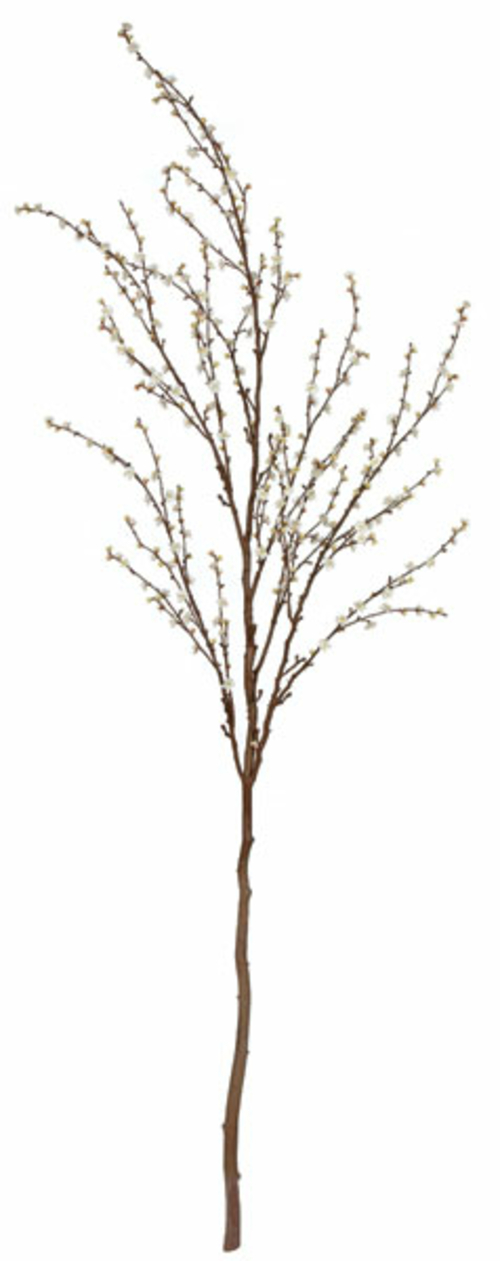 Autograph Foliages P-140160 9 ft. Plum Tree, Cream