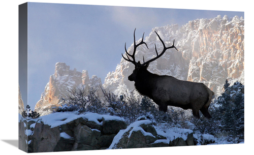 Global Gallery GCS-486488-22-142 22 in. King of the Mountain Art Print