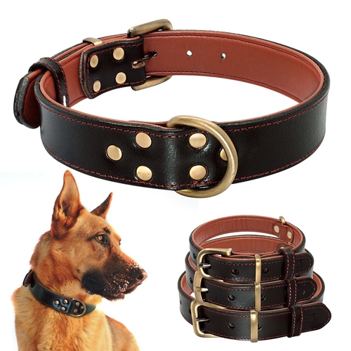 Soft Genuine Leather Dog Collar Padded Pet Collar