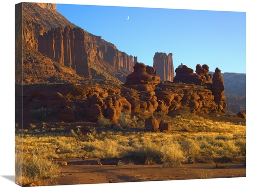 Global Gallery GCS-396101-2228-142 22 x 28 in. Fisher Towers at Profes