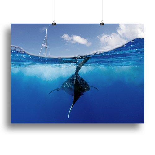 Collision Course Canvas Print or Poster