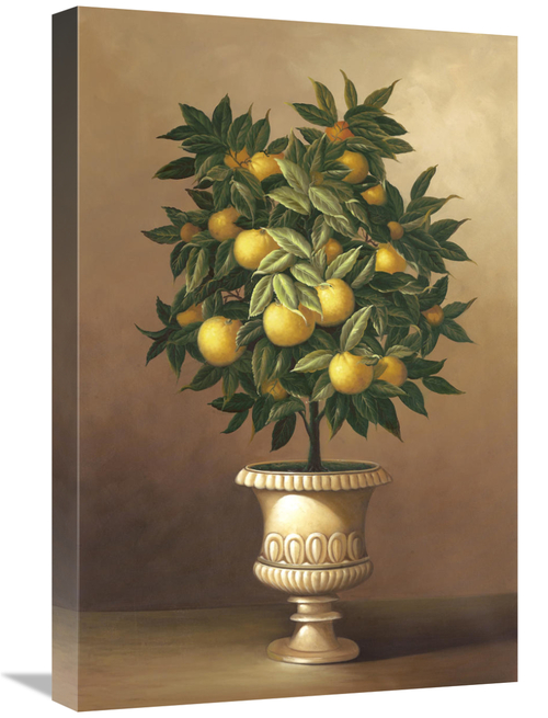 16 x 24 in. Potted Orange Tree Art Print - Welby