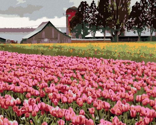 Zuty - Paint by Numbers - PINK TULIPS IN A MEADOW (DENNIS FRATES),