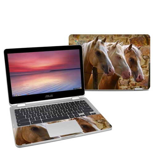 DecalGirl AC302-3AMIGOS Asus Chromebook C302 Skin - 3 Amigos
