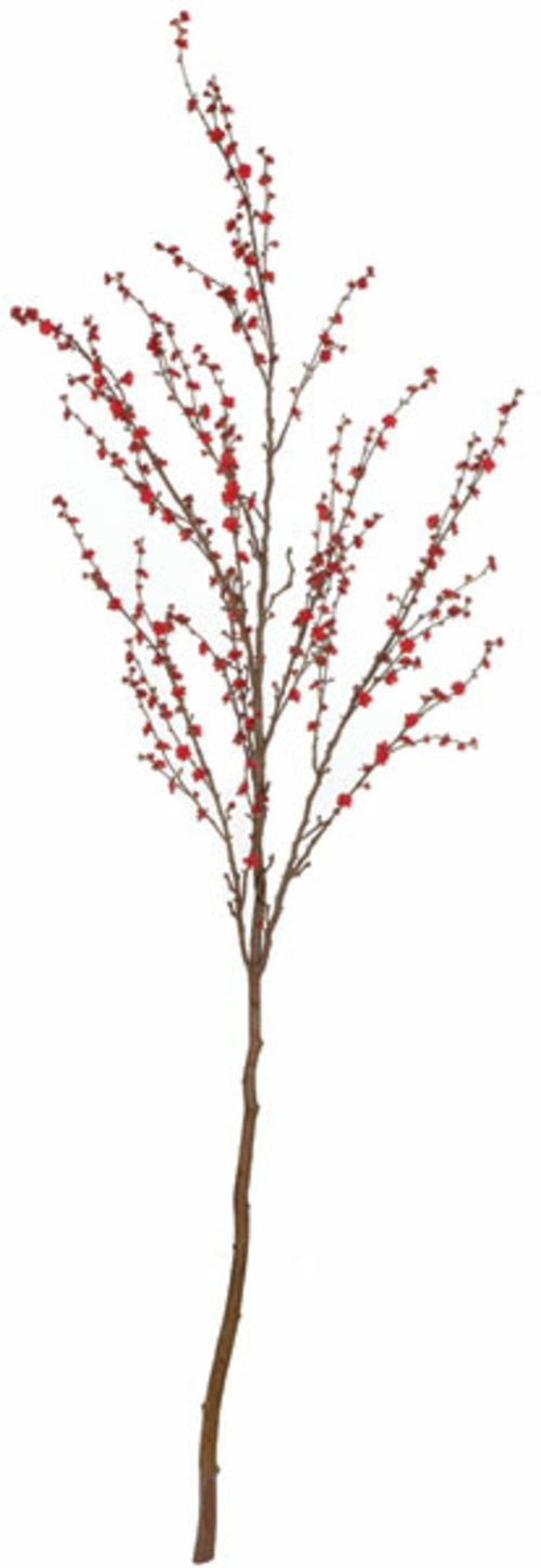 Autograph Foliages P-140163 9 ft. Plum Tree, Red