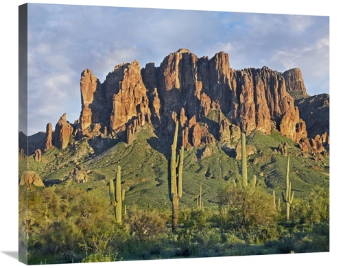 Global Gallery GCS-396908-30-142 30 in. Saguaro Cacti & Superstition M