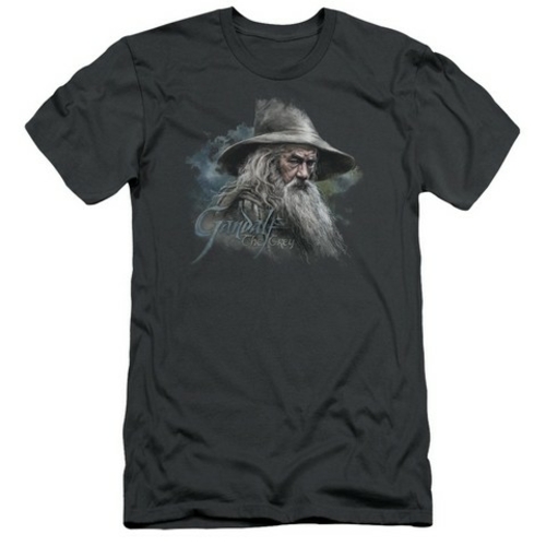 Trevco The Hobbit-Gandalf The Grey Short Sleeve Adult 30-1 Tee- Charco