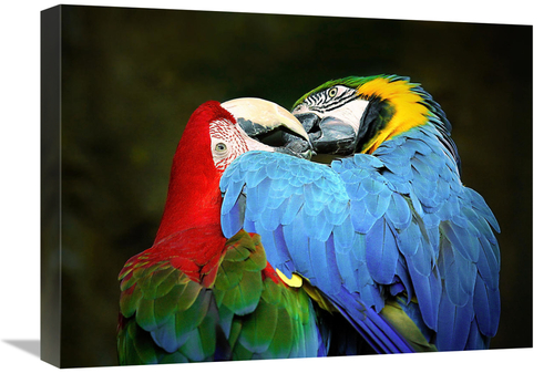 Global Gallery GCS-486626-22-142 22 in. Sweethearts Art Print - Vic Sc