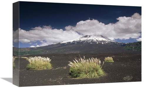 Global Gallery GCS-452899-1218-142 12 x 18 in. Pampas Grass Islands in