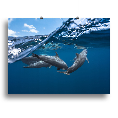 Dolphins Jumping Canvas Print or Poster