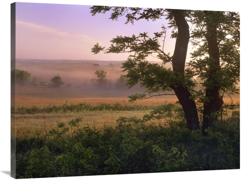 Global Gallery GCS-396175-3040-142 30 x 40 in. Tallgrass Prairie Natio