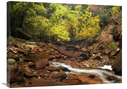 Global Gallery GCS-396460-2432-142 24 x 32 in. Zion Canyon Near Emeral