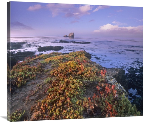 Global Gallery GCS-396714-36-142 36 in. Iceplant Covering Coastal Rock