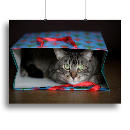 MY GREATEST GIFT Canvas Print or Poster