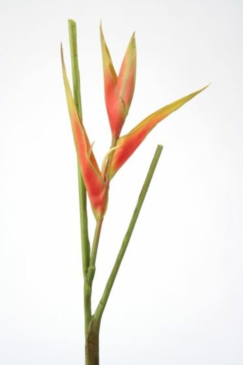 24 in. Heliconia Pick Spray, Dark Rose - Pack of 6