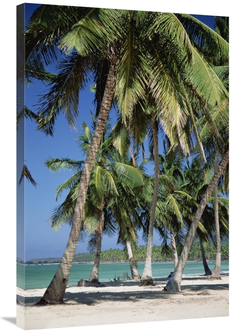 Global Gallery GCS-452417-2436-142 24 x 36 in. Coconut Palm Trees & Be