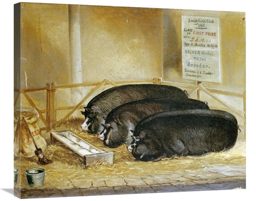 Global Gallery GCS-267532-30-142 30 in. Three Prize Winners Art Print 