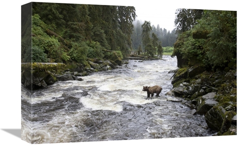 Global Gallery GCS-395465-1218-142 12 x 18 in. Grizzly Bear Fishing Al