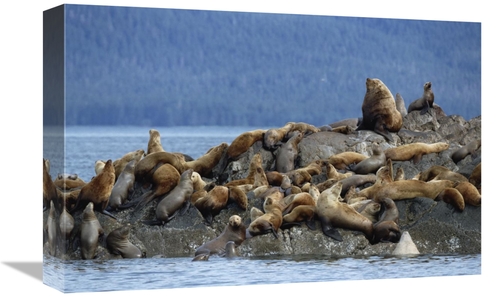 Global Gallery GCS-452543-1218-142 12 x 18 in. Stellers Seas Group Con