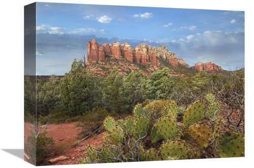 Global Gallery GCS-396053-1216-142 12 x 16 in. Coffee Pot Rock Near Se