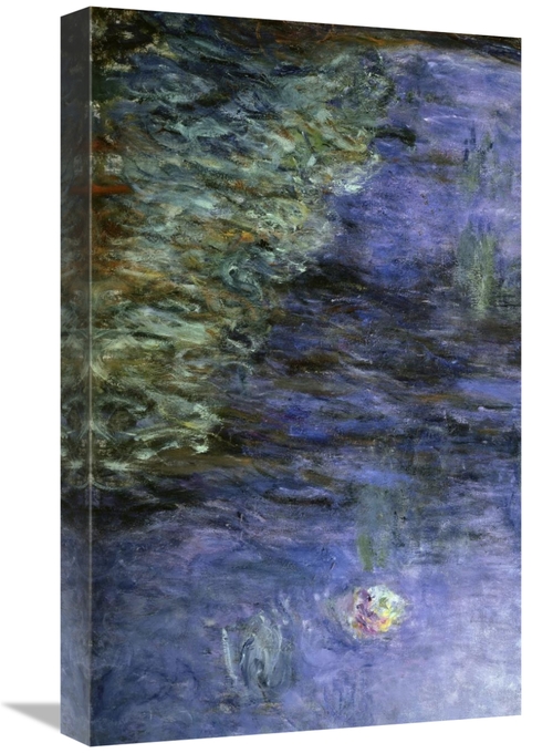 Global Gallery GCS-278729-22-142 22 in. Water Lilies - Detail Art Prin