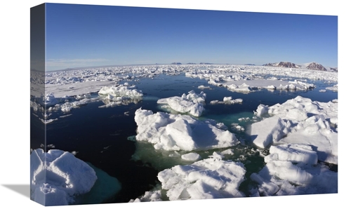 Global Gallery GCS-452708-1218-142 12 x 18 in. Ice Floe Field, Spi